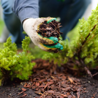 service landscaping bangor pa